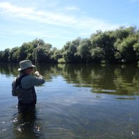 Casting on the Mataura River, Southland, New Zealand
