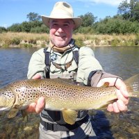 Handsome Mataura River Brown Trout